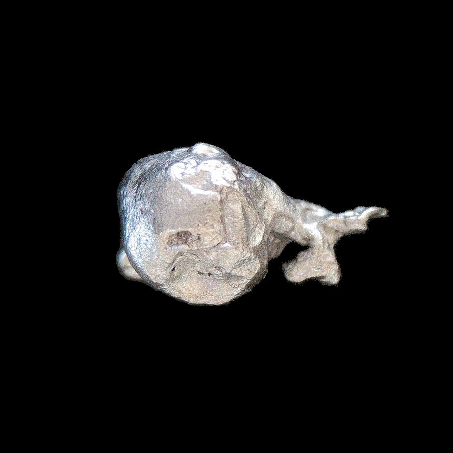 Aluminum Nugget ID 47