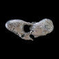 Nugget de Zinc ID 100 Especimen Mineral Raro