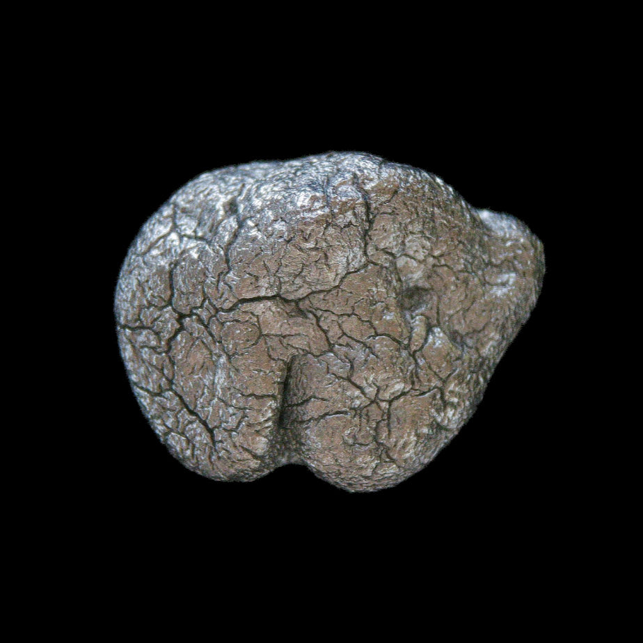 Pepita de zinc ID 114 Espécimen mineral raro