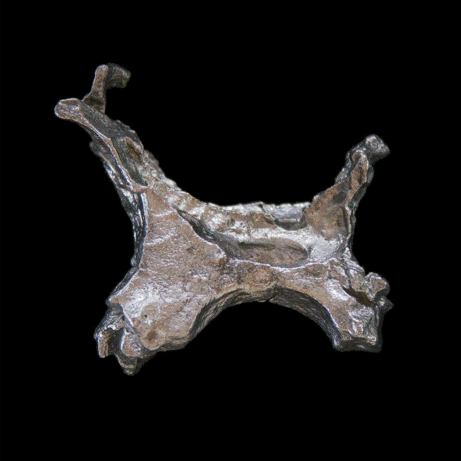 Pépite d'aluminium ID 117 Spécimen minéral rare