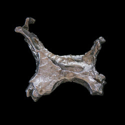 Pepita de Aluminio ID 117 Ejemplar Mineral Raro
