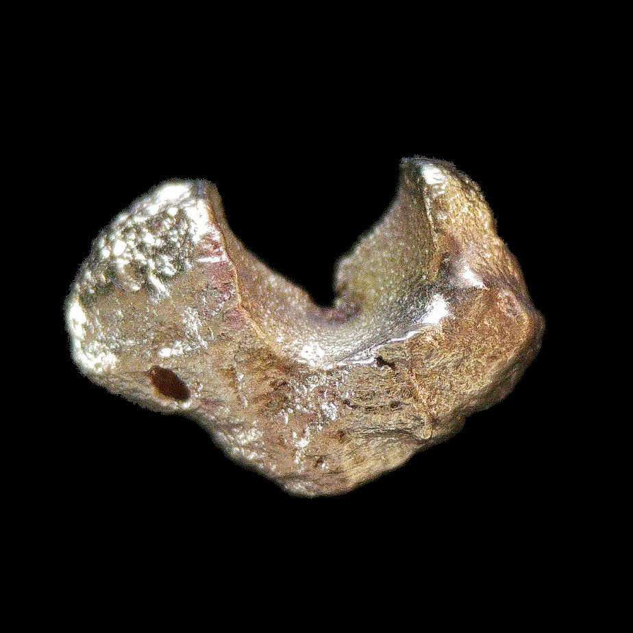 Brass Nugget ID 133 Rare Mineral Specimen