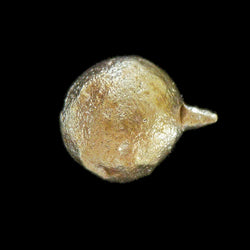 Nugget de Latón ID 21 Espécimen Mineral Raro