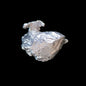 Pépite d'aluminium ID 48 Spécimen minéral rare