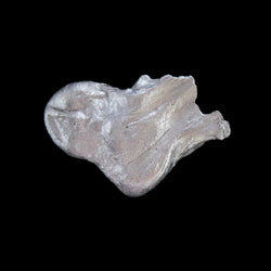 Pépite d'Aluminium ID 80 Spécimen Minéral Rare