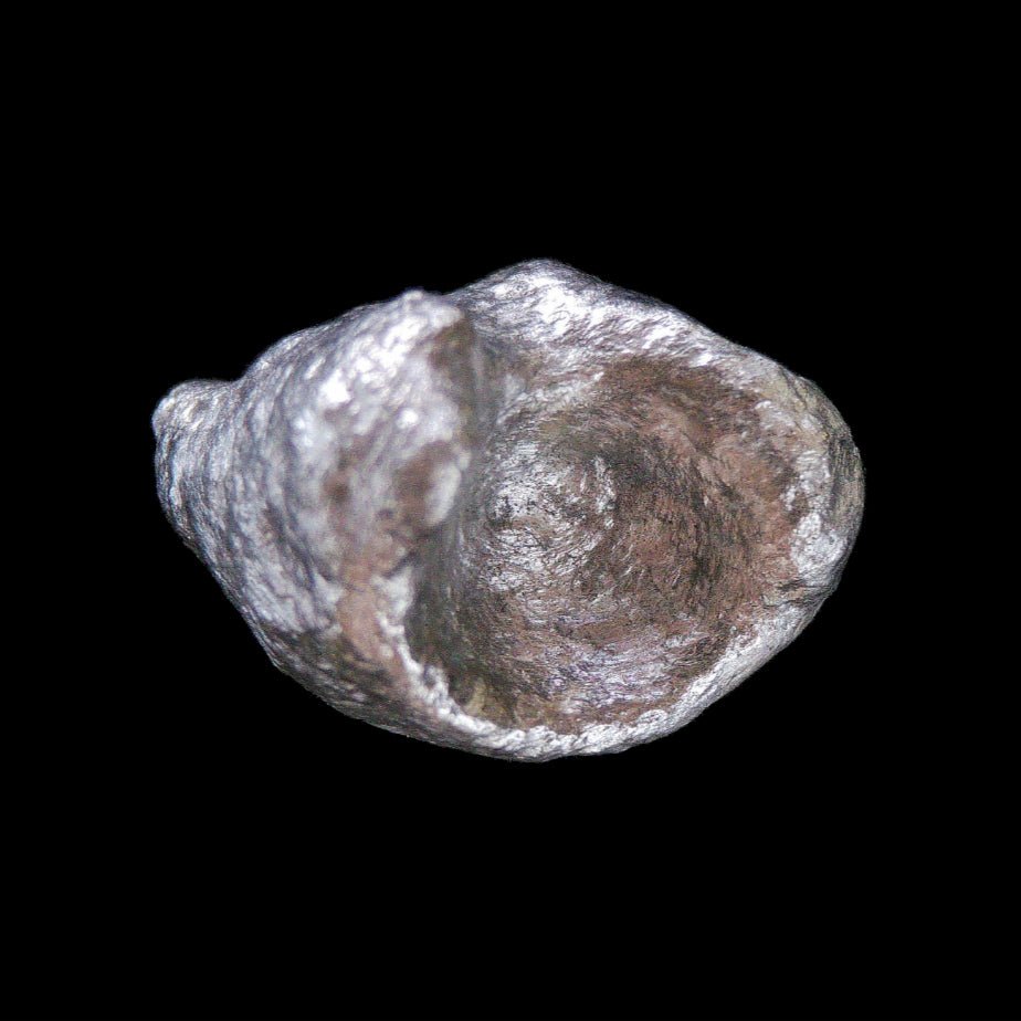 Aluminum Nugget ID 95 Rare Mineral Specimen